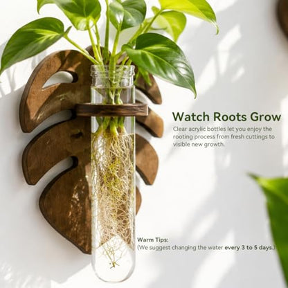 Artilady Plant Propagation Station Wall Hanging, Planter Terrariums Tube - color: Leaves