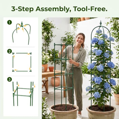 MYMULIKE 2 Pack Garden Obelisk Trellis for Climbing Plants Outdoor & Indoor - 6Ft Rustproof Garden Trellis Plant Support Cage for Vines, Flowers, Vegetables, Roses | Heavy-Duty, Adjustable
