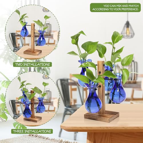 Plants Propagation Stations Bulb Glass Propagation Birthday Gift for Women - color: Blue