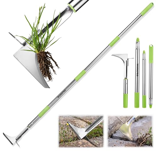 WORKPRO Crack Weeder, Stainless Steel Crevice Weeding Tool with Adjustable Long Handle (27"-54")