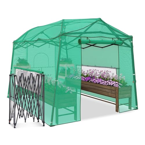 11 x 8.5 ft Pop‑up Walk‑in Greenhouse for Outdoor Winter Plant Protection - color: Green, size: 11' x 8.5'