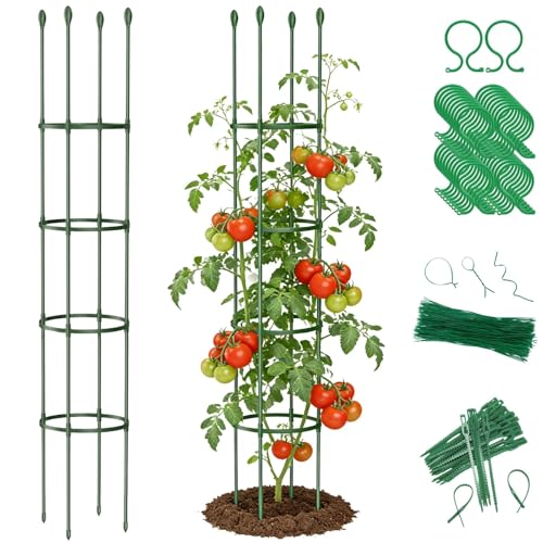 2 Pack Heavy Duty Round Tomato Cage | 63 Inch Rustproof Steel Core Plastic Coated Garden Tomato Trellis | Metal Large Plant Support for Tomato, Cucumber, Beans, Flowers, Vegetables Indoor Outdoor