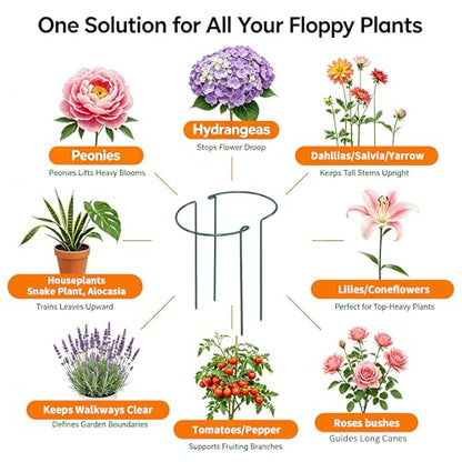 AMAGABELI Garden & Home 12 Pack Plant Support Stakes 10" W x 24" H Heavy Duty Half Round Peony Cage Metal Garden Support Structures Plant Cage with Ties for Indoor Flower Tomato Hydrangea Monstera
