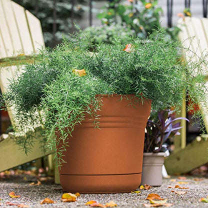 Bloem SP0746 Saturn Planter w/Saucer 7" Terra Cotta, 7" - color: Terra Cotta, size: 7"