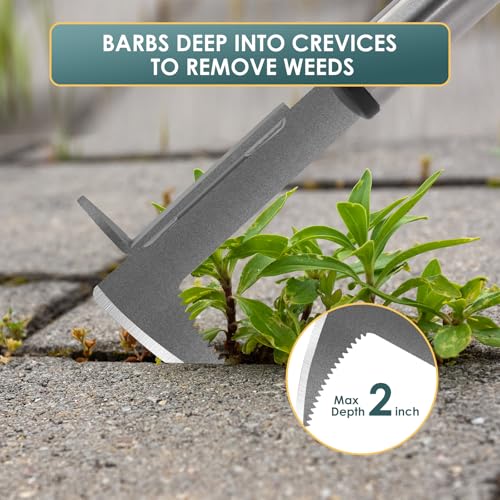 BARAYSTUS Crack Weeder, Stainless Steel Manual Crevice Weeding Tool,13" Weed Grabber Remover, L-Shaped Manual Weeder Puller, Durable Crevice Weeding Tool for Sidewalk Garden Patio Lawn - size: 13 inch