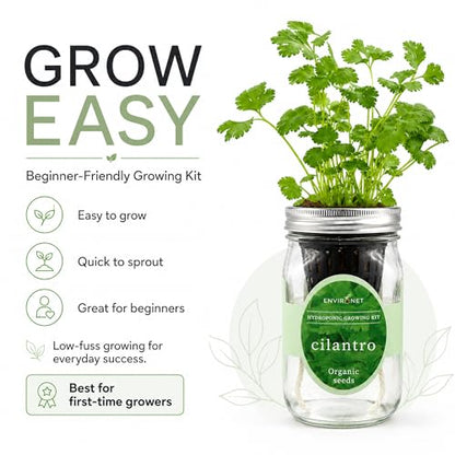 Hydroponic Herb Growing Kit, Self-Watering Mason Jar Window Herb Garden Starter Kit Indoor, Grow Your Own Herbs from Organic Seeds (Cilantro) - color: Cilantro