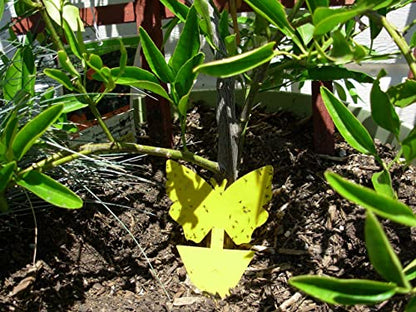 Yellow Dual Sticky Fly Traps 10-Pack for Gnat Whiteflies Fungus Gnats Flying Insects - Houseplant Disposable Glue Trappers Save a Garden Butterfly Shape