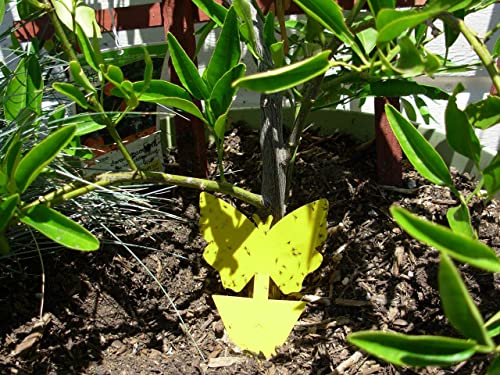 Yellow Dual Sticky Fly Traps 10-Pack for Gnat Whiteflies Fungus Gnats Flying Insects - Houseplant Disposable Glue Trappers Save a Garden Butterfly Shape