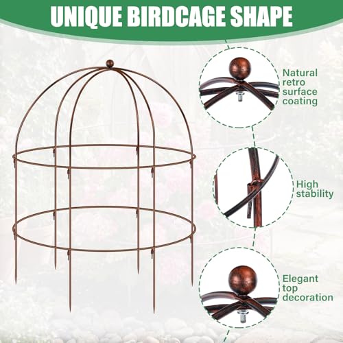 2 Pcs 36 × 28" Bronze Bird Cage Peony Climbing Plant Support Heavy Duty Metal Cage Large Plant Support Outdoor Garden Trellis for Peonies, Baptisia, Sedum & Other Perennials - size: 36 x 28"