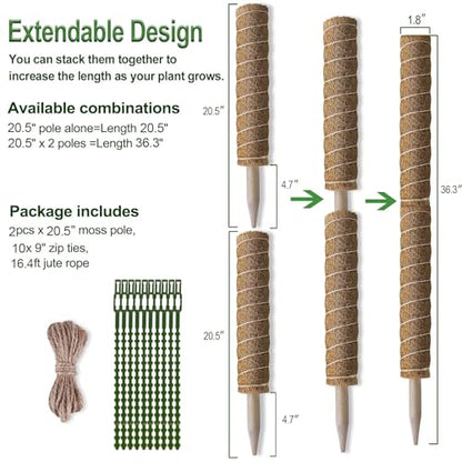 Fabulas Moss Pole 36 Inch - Monstera Plant Support, 2 Pack 20.5 Inch Plant Stakes for Indoor Plants Coco Coir Moss Pole Sticks for Climbing Potted Live Plants, Pothos, Philodendron, with Garden Ties - size: moss pole 20.5"x2pcs