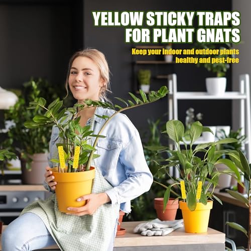 36 PCS Yellow Sticky Traps for Plant Gnats, Fungus Gnat Trap (4" x 1") - color: Yellow