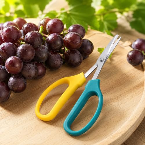 1pc Garden Trimming Scissors for Fruits and Grapes, Bent Blade