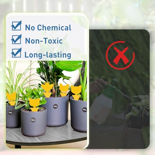 48 Pack Fruit Fly Traps for Indoor Outdoor and Indoor Electric Plug in Flying Insects Mosquito Killer Bug Zapper