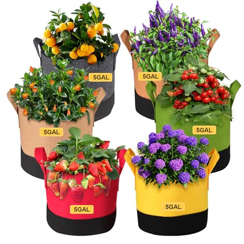 Grow Bags 5 Gallon,6 Pack Fabric Plant Pots with Handles Planter Bag for Outdoor Garden Planting Vegetables Flowers Fruit - color: 6 Color, size: 5 Gallon