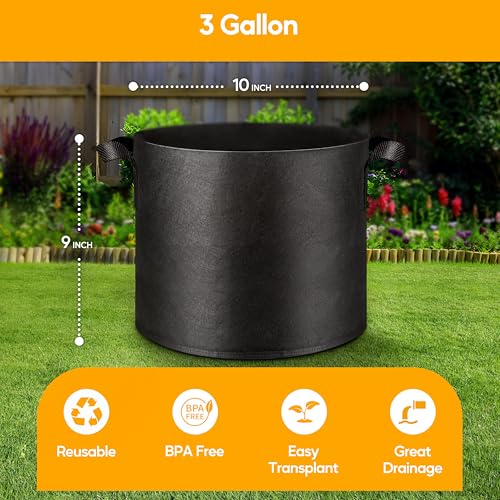 Simple Deluxe Grow Bags 3 Gallon 10 Pack Planter Pots with Handles, Thickened Nonwoven Fabric Aeration Cloth Bag, Heavy Duty Gardening for Tomoato, Potato, Vegetable, Herbs and Flowers, Black - color: 10 Pack, size: 3 Gallon
