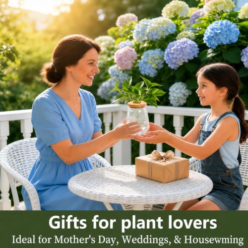 Desktop Plant Hydroponic Vases, Water Plant Jars, Gardening Gifts for Office and Home, Outdoor, Transparent Diamond Pattern - color: Transparent Diamond Pattern