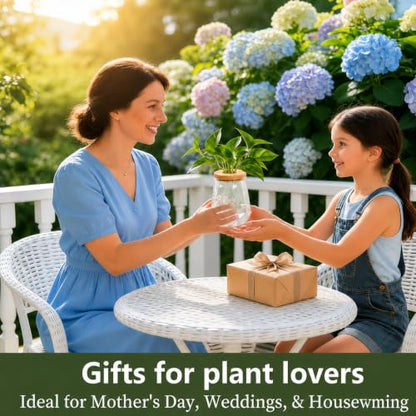 Desktop Plant Hydroponic Vases, Water Plant Jars, Gardening Gifts for Office and Home, Outdoor, Transparent Diamond Pattern - color: Transparent Diamond Pattern