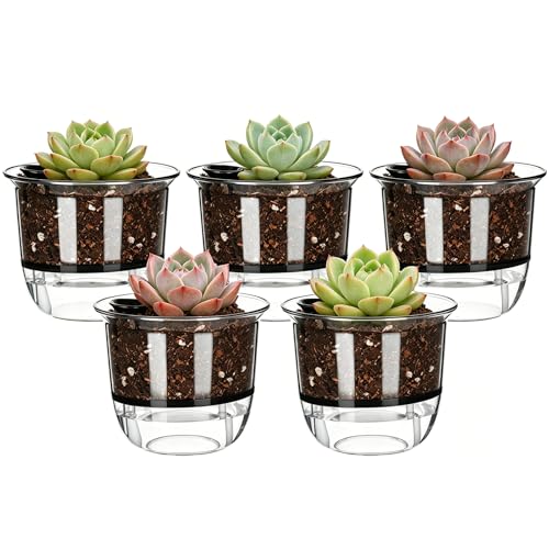 Plant Pots 4 inch Set of 5, Self Watering Pots for Indoor Outdoor Plants - color: 5pcs Small