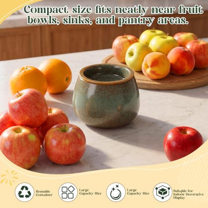 1 Pack Ceramic Fruit Fly Traps Reusable, Reactive Glaze, Patina Green - color: Patina Green, size: Reactive Glaze