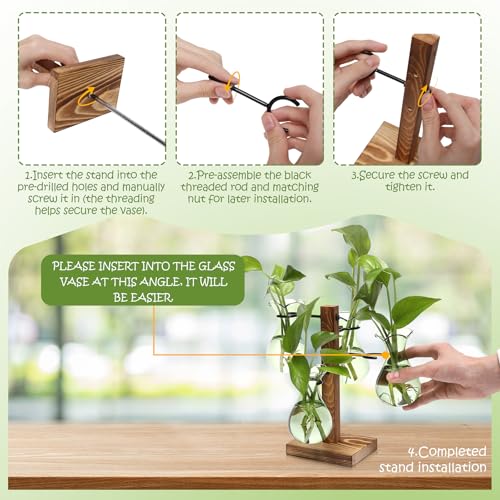 Plants Propagation Stations Bulb Glass Propagation Birthday Gift for Women - color: Green