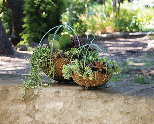 SuperMoss (80304) Leeds Sphere Metal Hanging Basket – Modern Hanging Planter for Indoor & Outdoor Plants – Decorative Metal Hanging Basket for Home, Patio, Garden & Balcony Décor, Medium (14"), Black - color: Black, size: Medium (14")