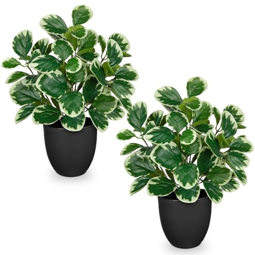 14.5" Artificial Plants Indoor Home Decor 2PCS Faux White Peperomia Plants - color: 2 Sets #Funny White Margin