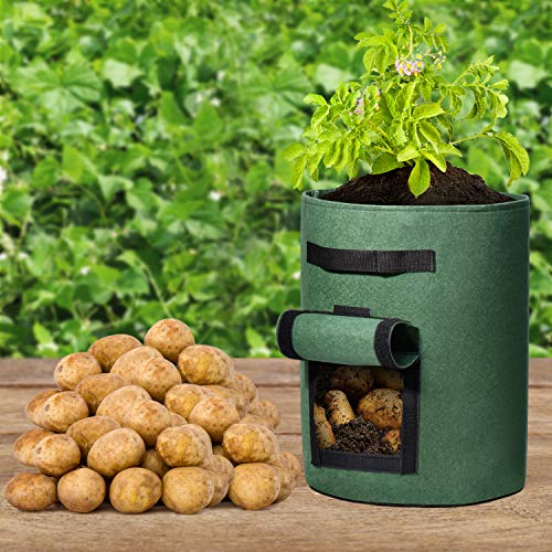 Delxo 5 Pack 10 Gallon Potato Grow Bags, Garden Planting Growing Bag with Flap, Double Layer Breathable Nonwoven Cloth for Potatoes/Planter/Vegetable/Tomato Fabric Pots with Handles Green - size: 10 Gallon