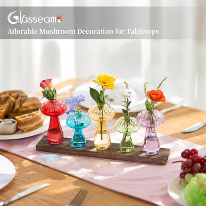 Glasseam Mushroom Propagation Station, Glass Plant Terrarium Jars with Tray