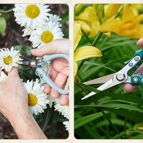 Modern Sprout Pruning Shears - Garden Snips - Herb Scissors - Sage 1-Pack - color: Sage