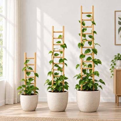 Plant Trellis Indoor 31" Wood Climbing Support for Hoya Pothos, Ivy & Vines - size: 31" H