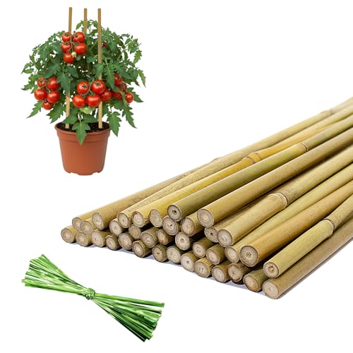 36 Pcs Plant Stakes, 16 Inches Natural Garden Bamboo Sticks, Plant Support Stakes for Indoor & Outdoor Plants, Orchid Tomato Vegetable Stakes for Garden