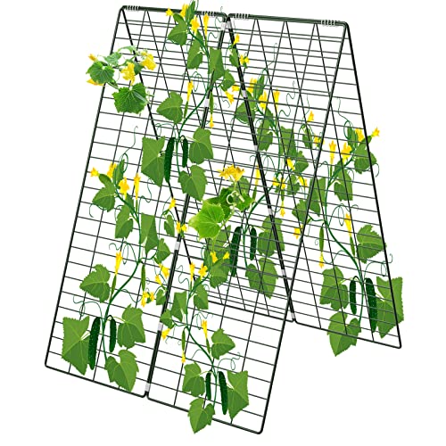 AGTEK 34" x 48" Foldable Metal Cucumber Trellis， for Climbing Plants, Cucumber, Vegetable, Flowers - size: 34"W x 48"H