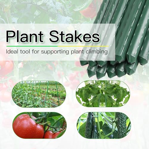 Garden Stakes 3ft 50pcs, 3 Feet Metal Plant Stakes for Gardening and Farm, Plastic Coated Plant Support for Tomato, Cucumber, Bean, Flower, Potted and More Climbing Plants - size: 3ft, 50pcs
