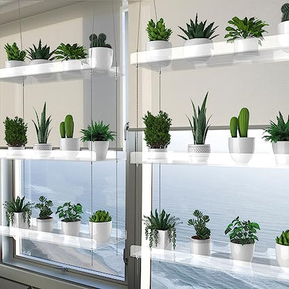 3-Tier Hanging Clear Plant Shelves for Windows, 16 Inch per Tier - size: 3 Tier