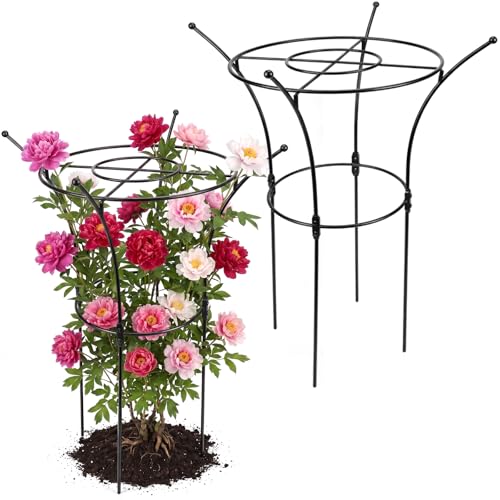 1 Pack Large Peony Cages and Supports, 38" H x 19" D Tall Heavy Duty 5mm Black Metal Garden Stakes for Outdoor & Indoor Plants, Sturdy Rust-Resistant Frame for Peonies Roses Flowers - size: 1 Pack