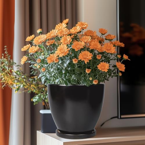 8 Inch Plant Pot - Ceraimc Planter for Indoor Outdoor Plants, Round Flower Pots with Drainage and Tray, House Decor, Black - color: Matte Black, size: 8 Inch