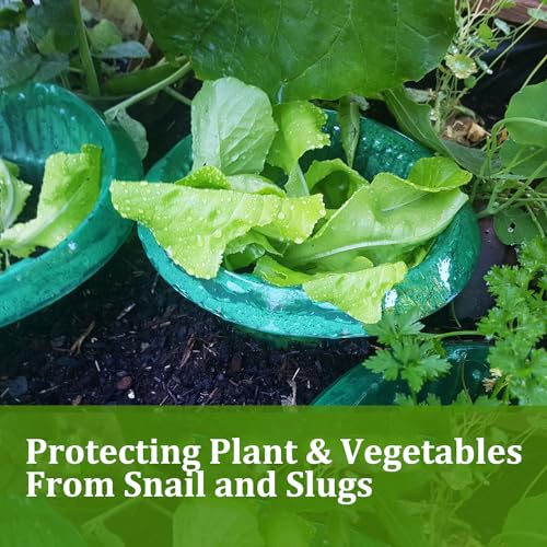 Fshow Garden Cloches，5 Pack Plastic Slug & Snail Plant Protection Collars, Snail Defense Without Chemistry, Planting Rings Protects Plants to Get Better. - color: green 5pcs