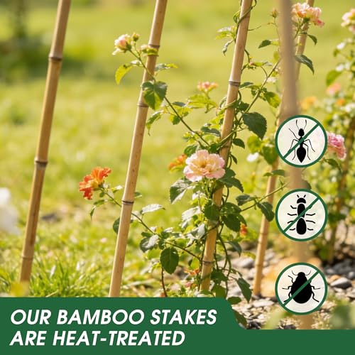 4 Feet Natural Bamboo Trellis 3 Pack, Oltara Fan-Shaped Plant Support Trellis for Outdoor and Indoor Climbing Plants, Potted Plants, Vegetables, Cucumbers, Tomatoes