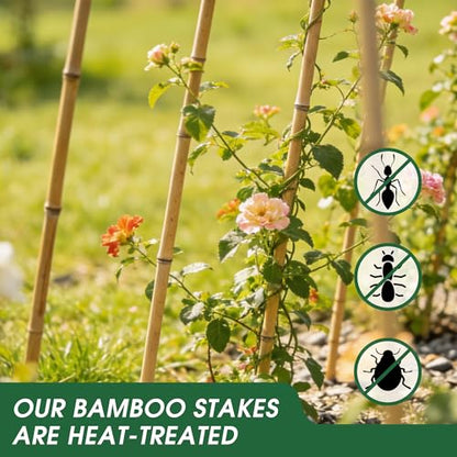 4 Feet Natural Bamboo Trellis 3 Pack, Oltara Fan-Shaped Plant Support Trellis for Outdoor and Indoor Climbing Plants, Potted Plants, Vegetables, Cucumbers, Tomatoes