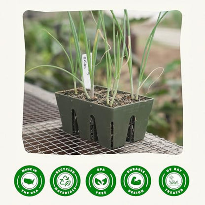 Epic Gardening 6-Cell Seed Starter Tray - 6 Trays - Sage Green - color: Sage Green