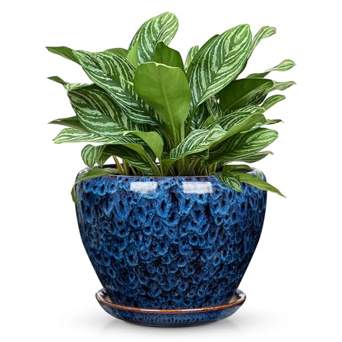 Hollyone 9inch Ceramic Planter Blue Ceramic Plant Pot for Plants Flowers with Drainage Hole and Saucers Ceramic Glaze Round Flower Plant Pot for Indoor Outdoor Large Round Succulent Orchid Flower Pot - size: 9 Inch (Single)
