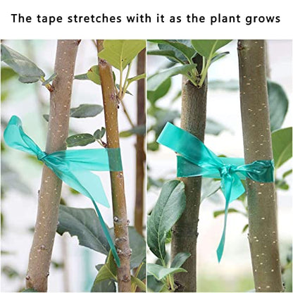Easytle Garden Tie Tape 0.45" 290 Ft, Stretch Tie Tape Roll, Sturdy Plant Ribbon Garden Green PVC Plastic Stake Gardening Tools for Indoor Outdoor Patio Plant Use - size: 290 ft