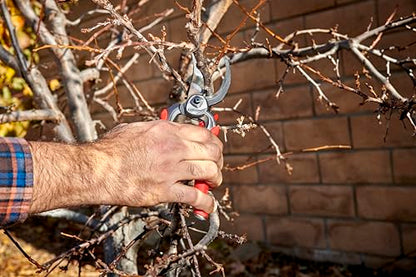 Corona BP 7100D Forged Steel DualCUT Bypass Hand Pruner - 1 inch Cut Capacity Stem and Branch Garden Shears, Red (Pack of 6) - size: 1 in (Pack of 6)