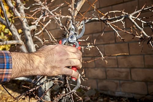 Corona BP 7100D Forged Steel DualCUT Bypass Hand Pruner - 1 inch Cut Capacity Stem and Branch Garden Shears, Red (Pack of 6) - size: 1 in (Pack of 6)