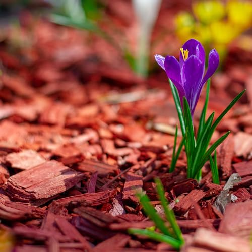 GARDENWISE Premium Red Wood Mulch for Indoor, Patio, Potting Media, Gardens, Lawns, and Landscaping (0.3 CF - 8 L - 9 QTS) - color: Red Wood Mulch, size: 0.3 CF - 8 L - 9 QTS