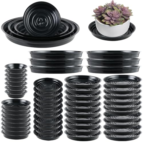 60 Packs 4/6/8/10/12 Inches Plant Saucers for Indoor Outdoor Use Heavy Duty Plastic Plant Plate Dish for Planter Bulk Round Flower Pot Drip Trays to Catch Water 4 to 20 Inch, Black - color: Black/ 60 packs, size: 4/6/8/10/12 inches