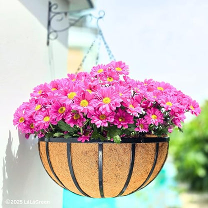 LaLaGreen Black Hanging Baskets (20 in, 4 Pack) Metal Plant Pots with Chain - size: 20" (51cm) x 4 Pack
