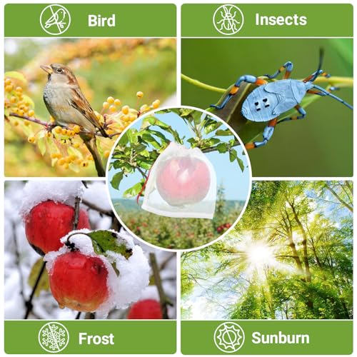 Mesh Fruit Bags, 50pcs 6x6 Inch Fruit Netting Bags with Drawstring for Plant Vegetables Fruit, Garden Fruit Protection Against Bird Insects Mosquito Pest Bug - size: 6"x6"/Pack of 50