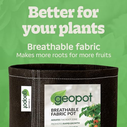 GeoPot 1 Gallon Fabric Grow Bags for Vegetables, Houseplants, Herbs & Flowers | 10-Pack | Fabric Pots for Outdoors and Indoors, Aerated Fabric Grow Bags - size: 1 Gallon (10-Pack), style: No Handles