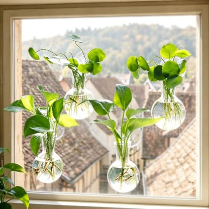 8 Pack Window Propagation Stations, Plastic Plant Terrarium Vases - size: 8 Pcs